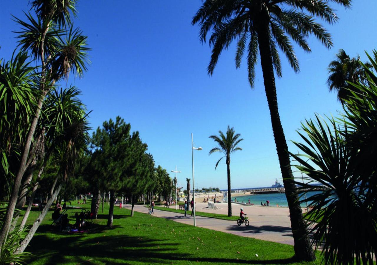 Canopee - Toulon Mourillon - 800M Des Plages Et Place De Parking Prive Eksteriør billede